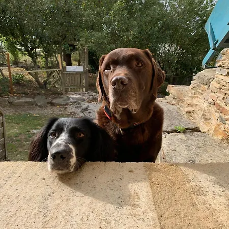 Aux Yourtes De La Fabrique Деревянный коттедж