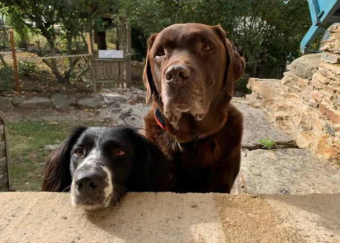 Aux Yourtes De La Fabrique Lodge